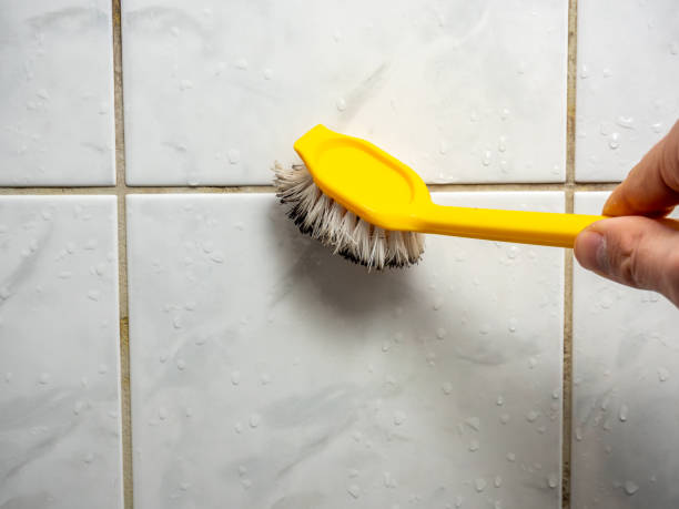 Best Certified Mold Removal  in Cave Spring, VA