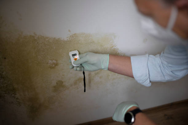 Best Mold Testing  in Cave Spring, VA