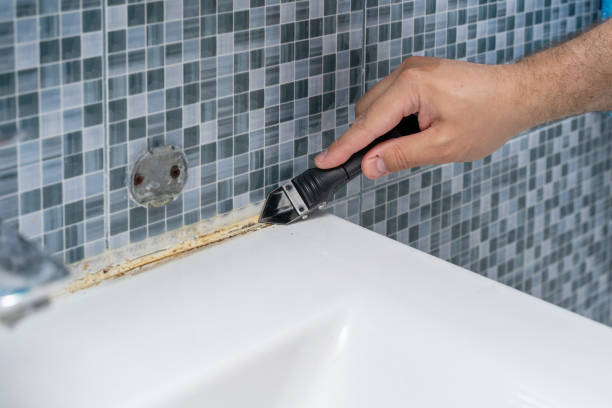 Best Mold Testing  in Cave Spring, VA